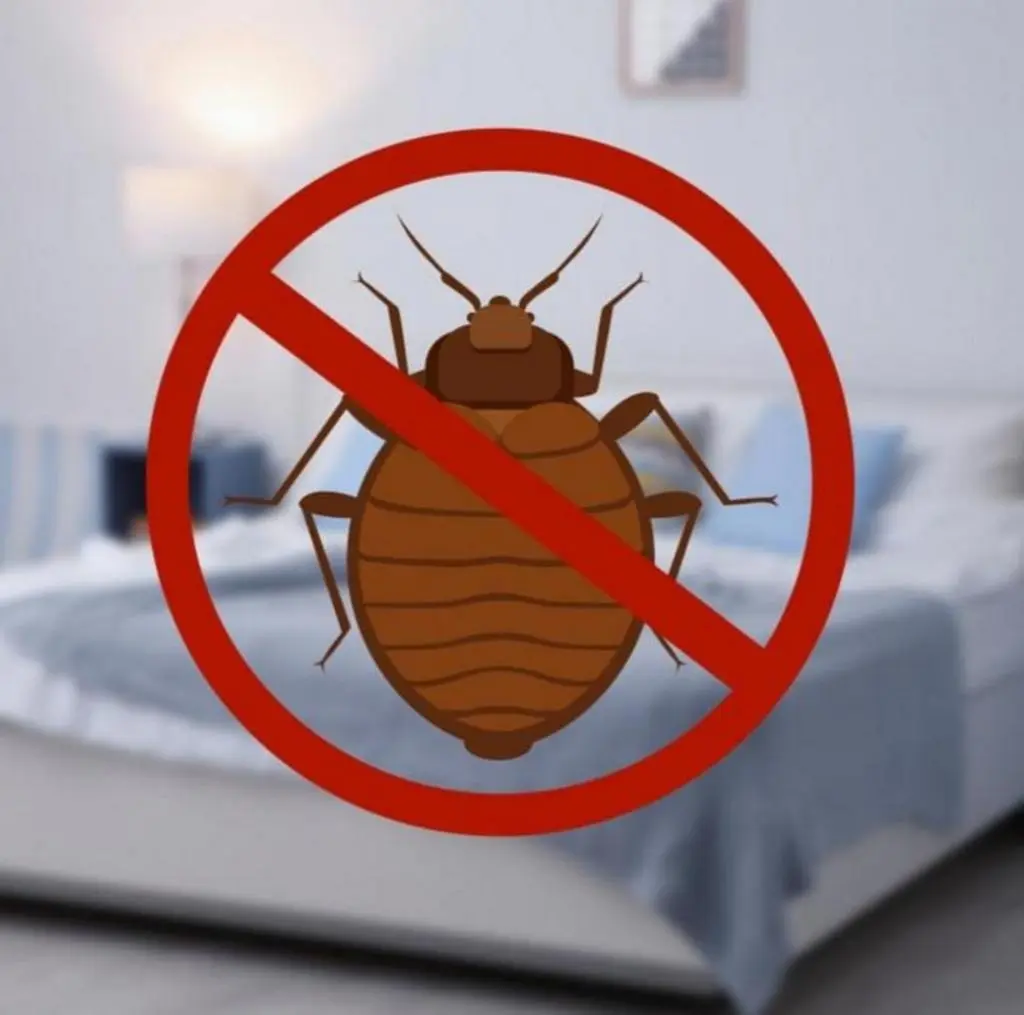 BTS pest control treatment service