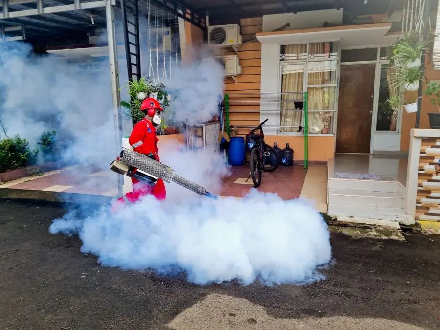 Outdoor thermal fogging treatment
